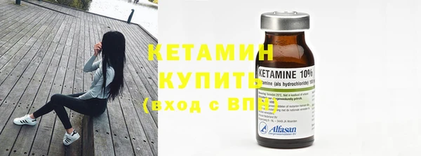 твердый Дмитров