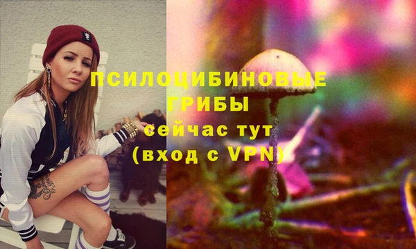 синтетический гашиш Дмитровск
