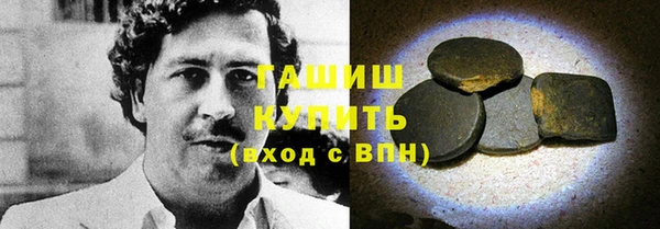 ГАЛЛЮЦИНОГЕННЫЕ ГРИБЫ Гусев