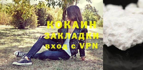 ГАЛЛЮЦИНОГЕННЫЕ ГРИБЫ Гусев